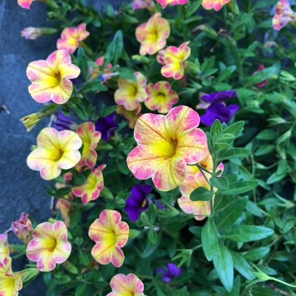 Summer , Fall, Winter and Spring clothes . 👗👠👒 - Picture 6 of 9